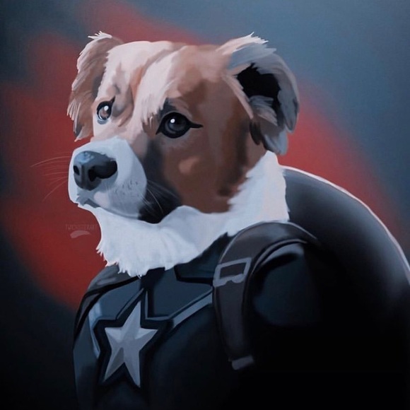 Meet your Posher, Dylan - Picture 1 of 1